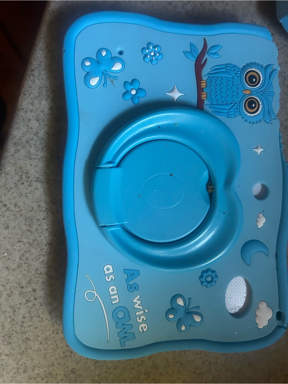 Blue Owl-Themed Tablet Snack Tray - Portable Phone/Tablet Lap Tray